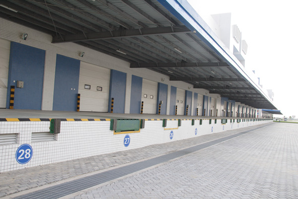 http://m.jujiaopai.com/article/464.html